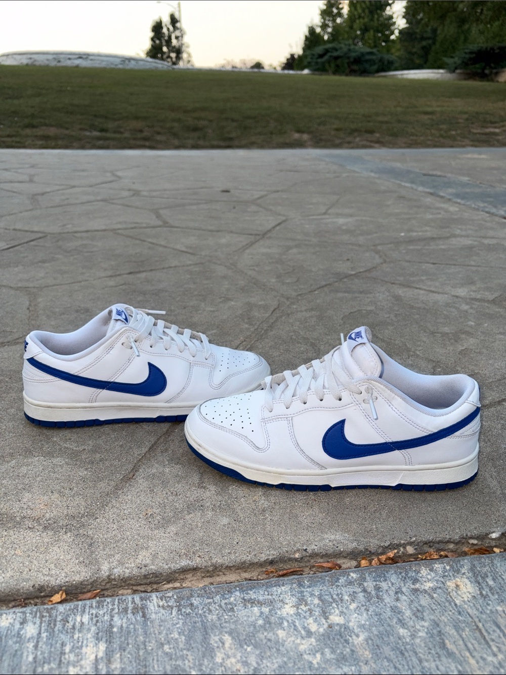 Nike White and Blue Low-Top Sneakers